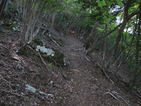 20151014hike (100)